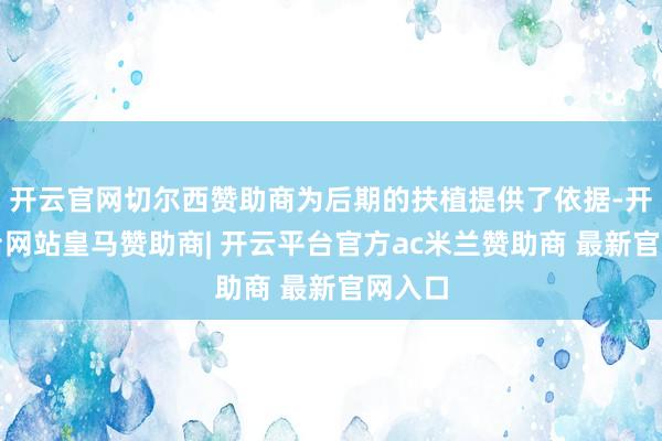 开云官网切尔西赞助商为后期的扶植提供了依据-开云平台网站皇马赞助商| 开云平台官方ac米兰赞助商 最新官网入口