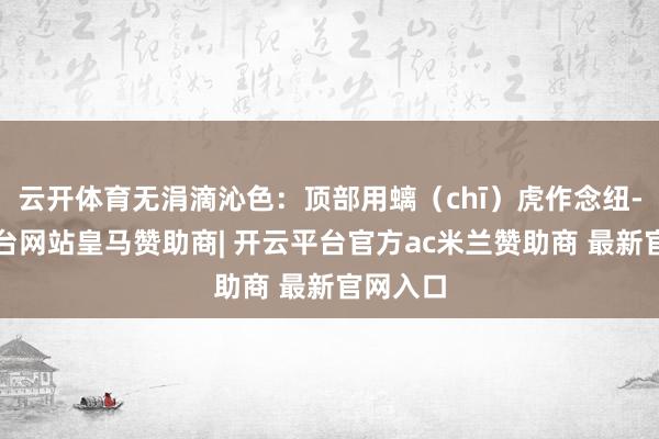 云开体育无涓滴沁色：顶部用螭（chī）虎作念纽-开云平台网站皇马赞助商| 开云平台官方ac米兰赞助商 最新官网入口